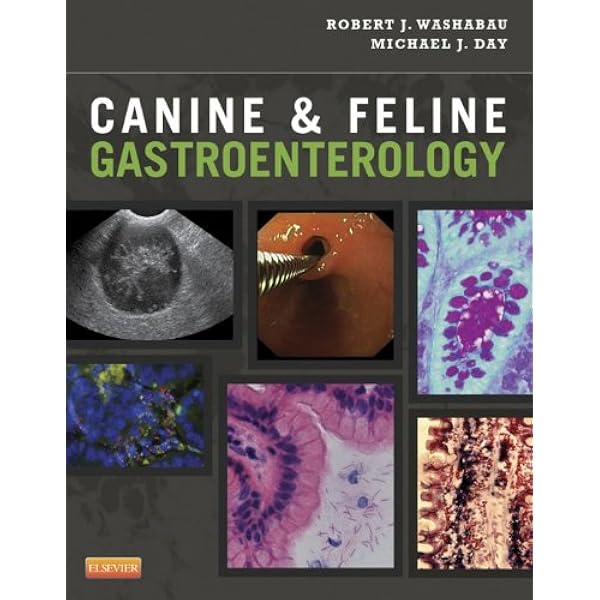 Amazon.com: Clinical Canine and Feline Respiratory Medicine eBook